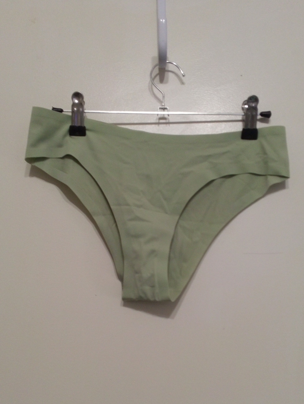 Seamless Bikini Panty in Light Sage Green